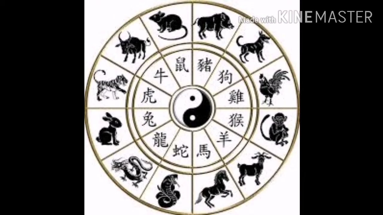 Знаки зодиака на китайском. Зодиакальный круг животных. 12 Животных китайского гороскопа. Зодиакальный круг по годам животных. Животные китайского календаря.