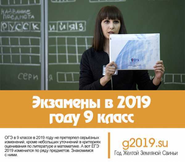 7 класс 2019 года. Экзамен 2019. 9 Класс 2019 года. 2019 Год экзамены 9 класс. Экзамены 9 класс 2019 ОГЭ.